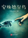 安格尔quan