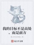 我的目标不是高处,而是前方什么意思