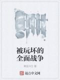 被玩坏的全面战争
