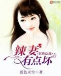 套路总裁，辣妻有点坏