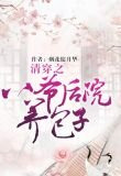 清穿之八爷后院养包子