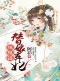 凤凰错：替嫁弃妃
