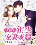 闪婚后，霍少宠妻成瘾