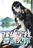 像确定我要遇见你